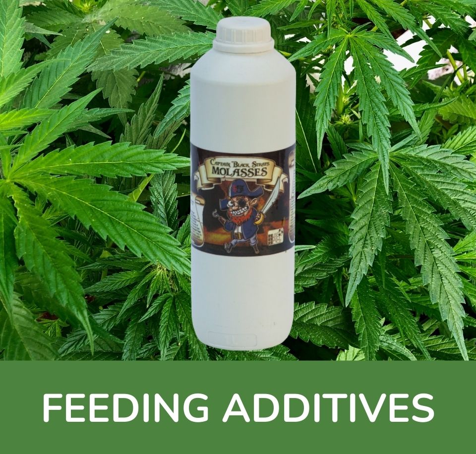 Feeding Additives