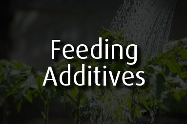Feeding Additives