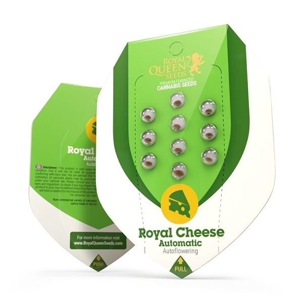 RQS Royal Cheese Automatic