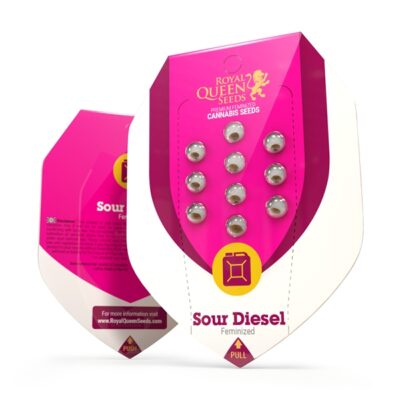 RQS Sour Diesel