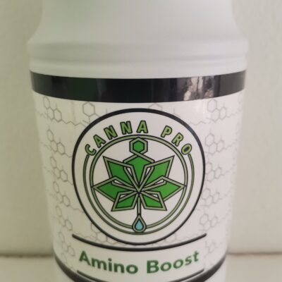 amino boost