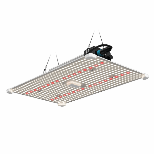 LUMii Black Blade 200w LED.png